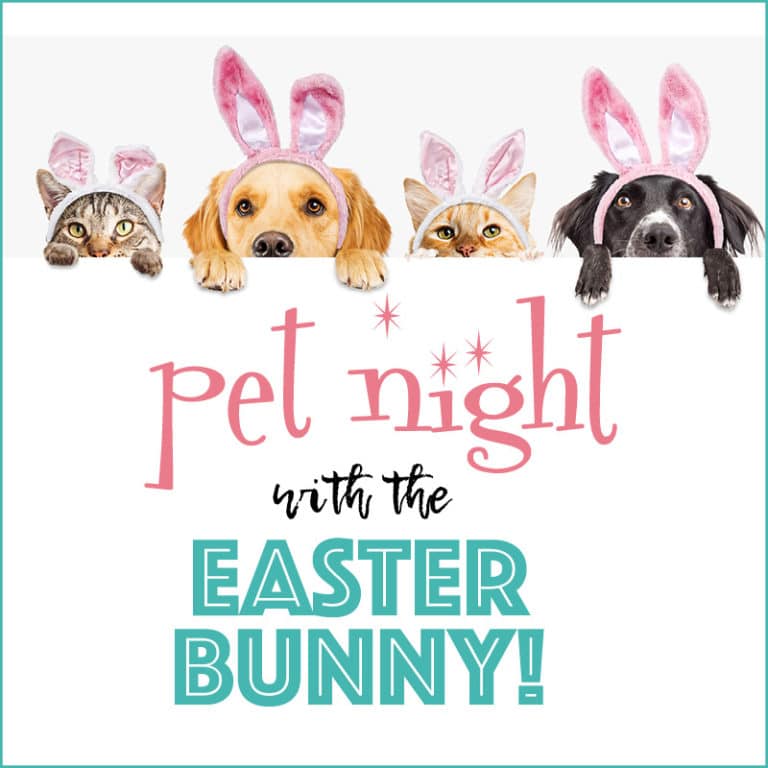 Pet Night with the Easter Bunny